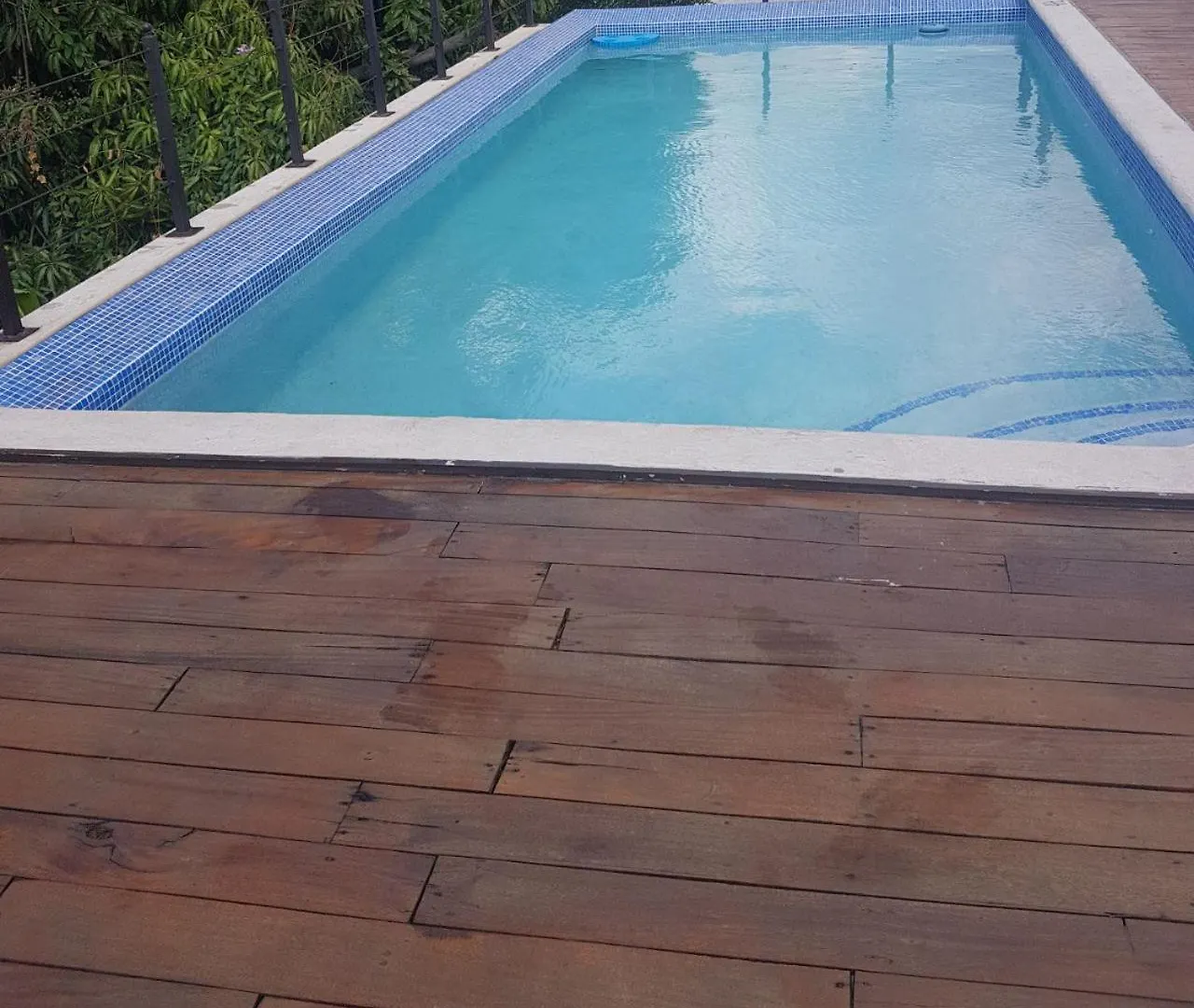 New Kingston Luxurious Secure Condo